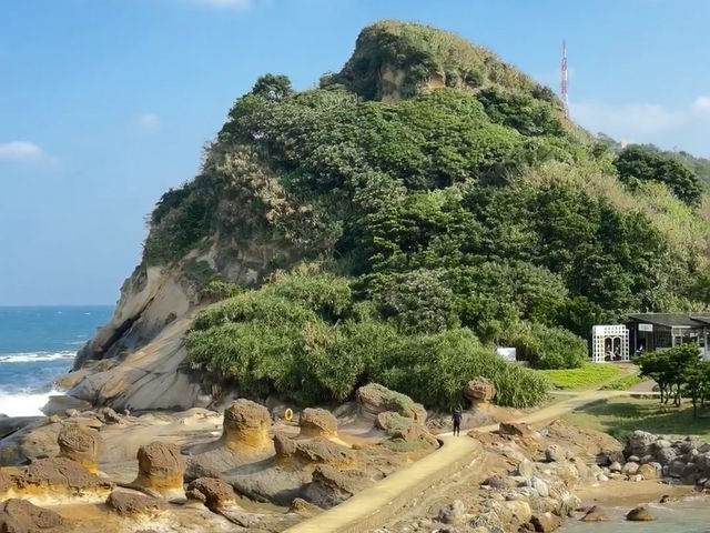 野柳地質公園——台灣北海岸的奇巖秘境