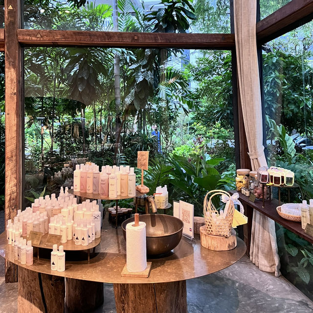방콕 파톰 카페 _ 오가닉 컨셉의 자연적인 카페 🌿