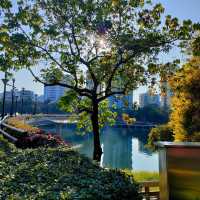 梅江公園-綠意綠洲