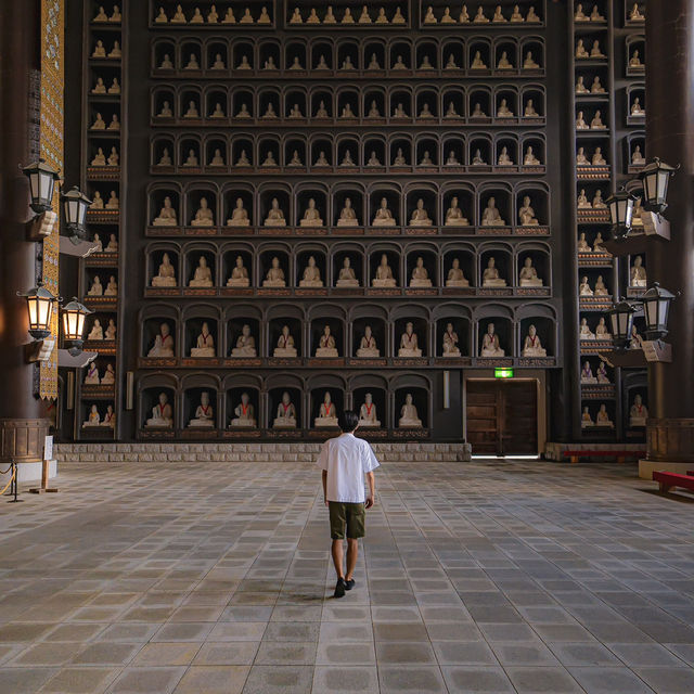 【福井】圧倒的スケール🏯越前大仏