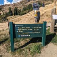 Roys peak