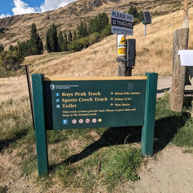 Roys peak