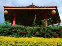 Mae Salong Flower Hills ดอยหมอก ดอกไม้ รีสอร์ท