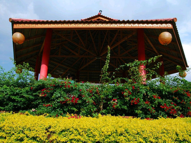 Mae Salong Flower Hills ดอยหมอก ดอกไม้ รีสอร์ท