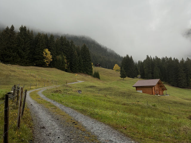 Exploring the Trails of Grindelwald: A Swiss Hiking Paradise