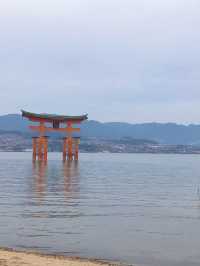 【広島】一生に一度は行きたい✨厳島神社