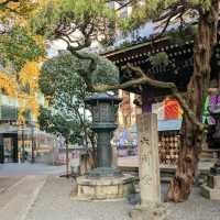 Chohoji(Rokkakudo) Temple