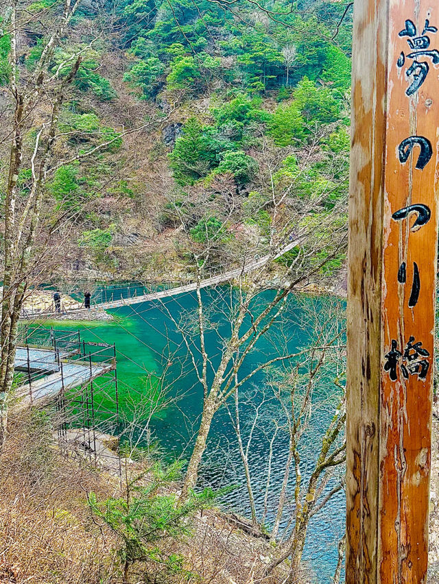 【静岡県】世界が認めた‼️秘境にある絶景吊り橋✨