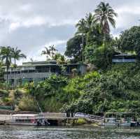 Discovering the Wild Heart of Daintree River: A Journey into Queensland’s Ancient Rainforest