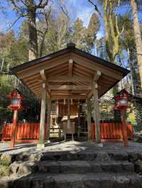 All about Kifune, Kyoto 🇯🇵