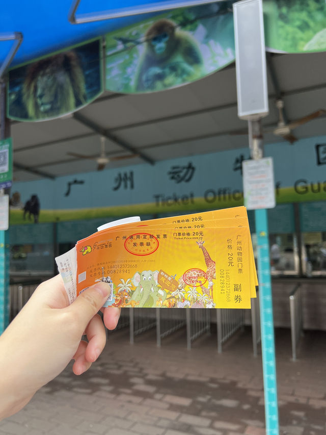 廣州親子遊行程大公開🙈飲茶🫖推介🥰必去市內動物園🥰好食下午茶