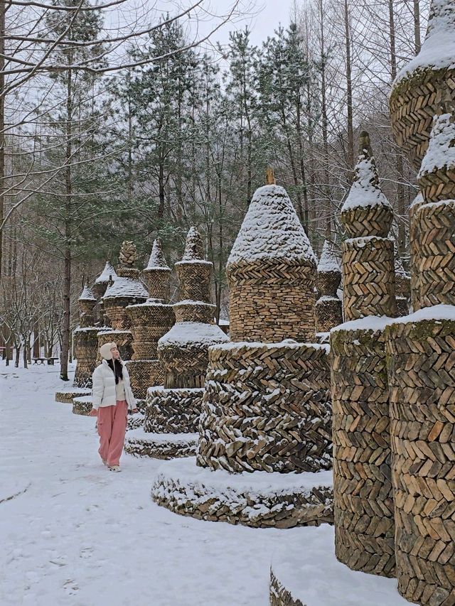 눈맞으며 힐링하기 좋은 대전여행지❄️
