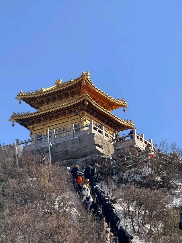🏯A forbidden temple 