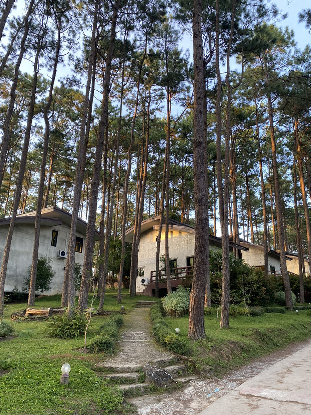 สวนป่าดอยบ่อหลวง | เชียงใหม่ 🏡🌲✨🍃