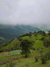 Gems of Chiang Mai and Chiang Rai