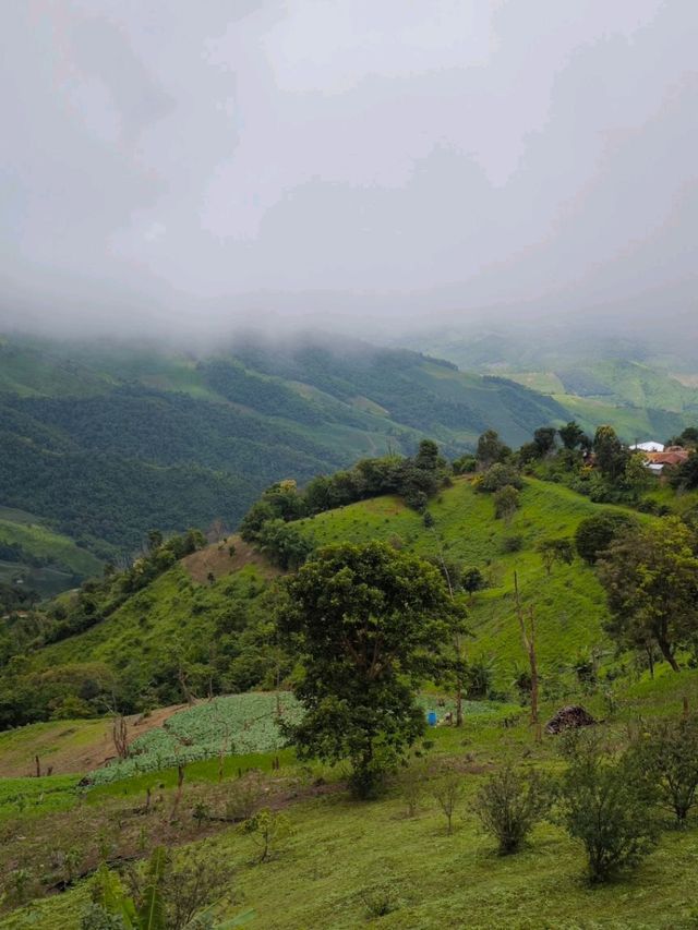 Gems of Chiang Mai and Chiang Rai