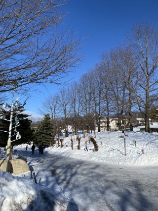 Asahiyama Zoo Day Trip