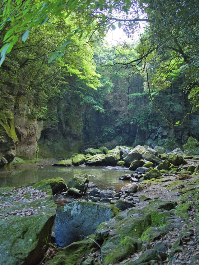 【大分】秘境の滝で涼を感じよう✨穴場スポットでマイナスイオンを浴びまくる🥰 周辺観光情報付き