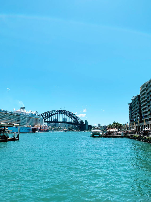 Circular Quay: Where Sydney Comes to Life