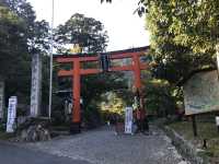 Kyū-Chikurin-in: A Historic Retreat with a Beautiful Garden
