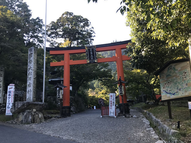 Kyū-Chikurin-in: A Historic Retreat with a Beautiful Garden