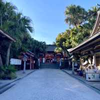 【宮崎県】ジャングルの中の神社？　-青島神社-