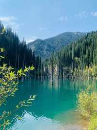 Exploring the Beauty of Kazakhstan’s Kaindy Lake: A Complete Itinerary