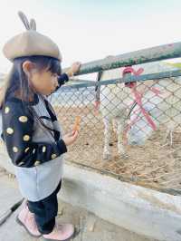 深圳野生動物園 深圳地鐵直達～零距離餵長頸鹿斑馬！ 