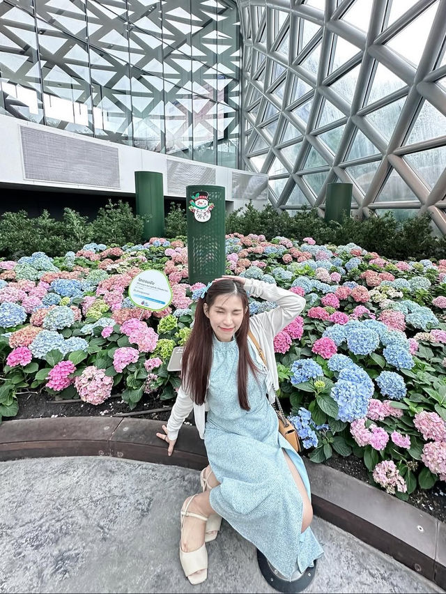 ชมดอกไม้เมืองหนาวที่ ระยองฮิ