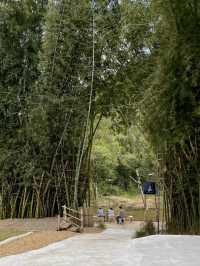 คาเฟ่สวนผึ้ง บรรยากาศดี ใกล้ชิดธรรมชาติ สมชื่อ!