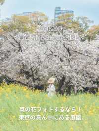 【東京庭園】菜の花スポットで写真を撮るならここ！電車で行けるすぐ撮れる◎徳川家ゆかりの地知ってる？