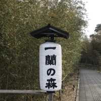 世界中で人気のある一蘭の裏側を知れる？！