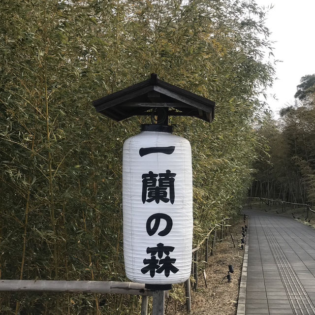 世界中で人気のある一蘭の裏側を知れる？！