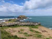 墨尔本The Nobbies 和 churchill island 非去不可