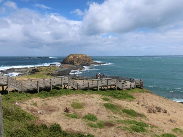 墨尔本The Nobbies 和 churchill island 非去不可