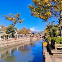 Lijiang Winter Wonderland: Snow-Capped Peaks, Ancient Streets, and Modern Comforts