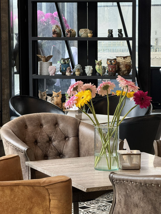 OWLY CAFE PATTANI คาเฟ่ที่ต้องลอง