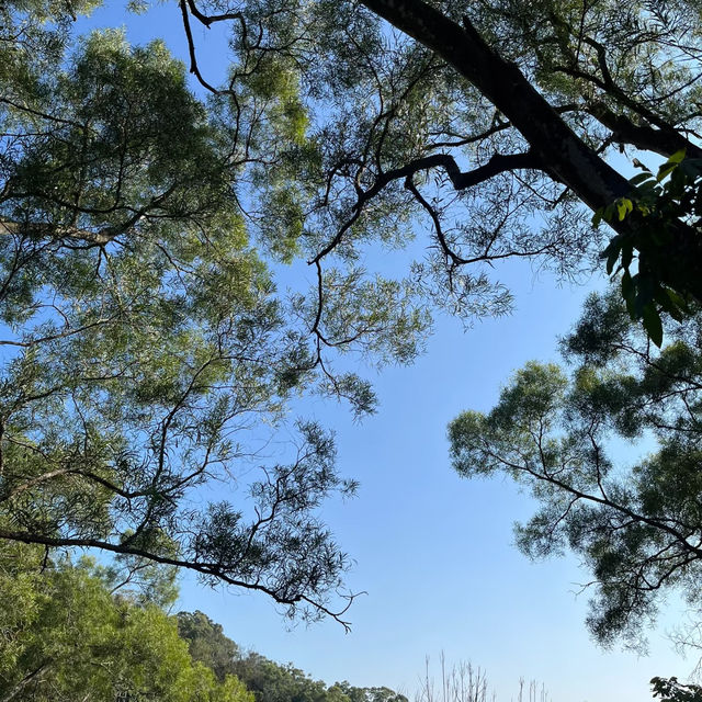 惠安公園～綠植綠洲