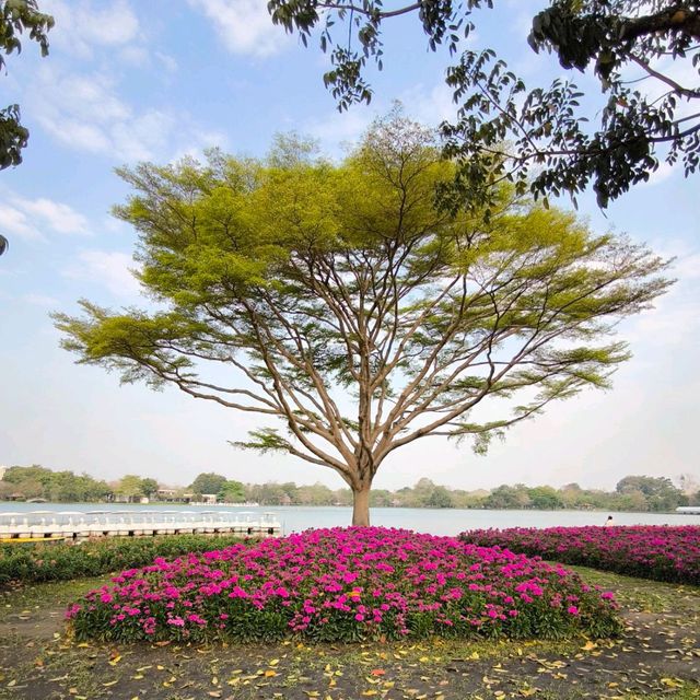สวนหลวง ร.9