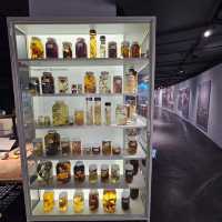 【台北】定期推出不同主題的科學特展，每次展覽都極具教育與娛樂性。