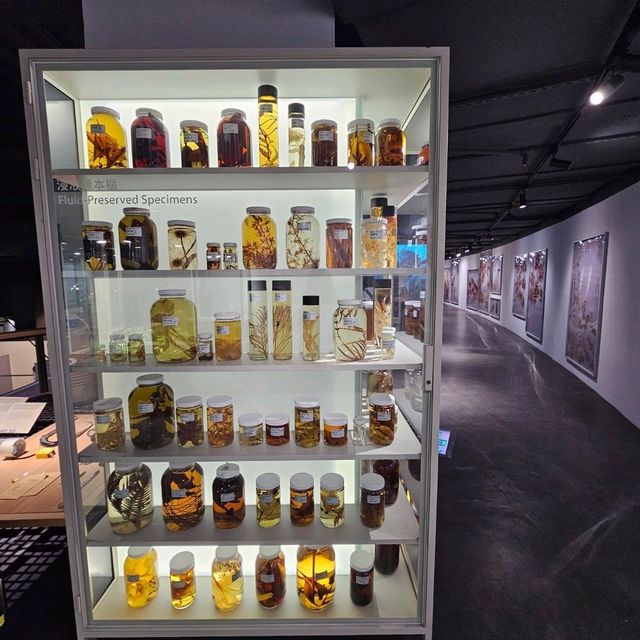 【台北】定期推出不同主題的科學特展，每次展覽都極具教育與娛樂性。