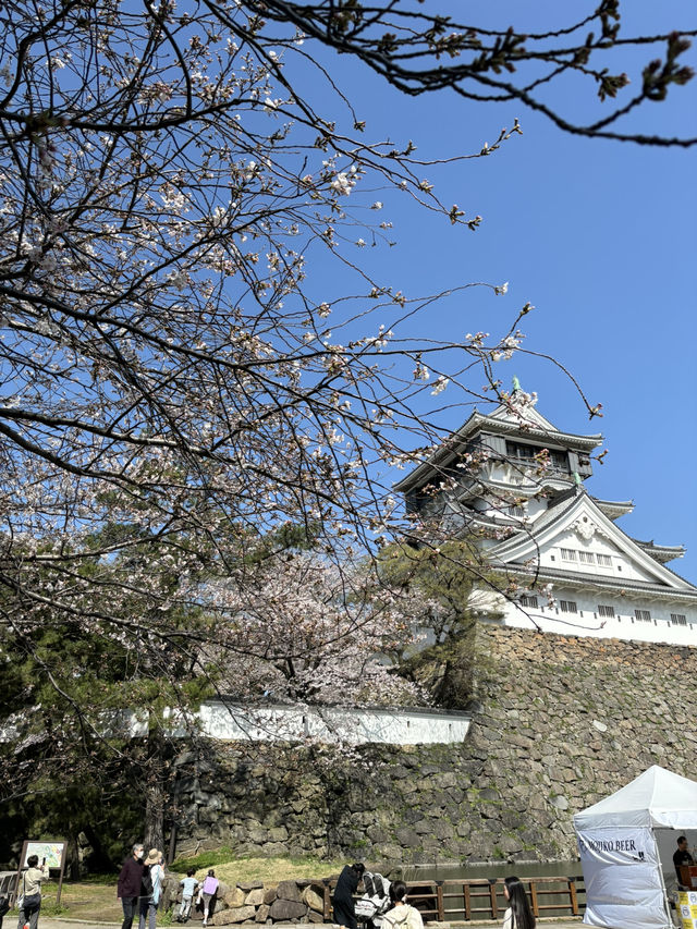 任何人都可以的福岡的一日美食與文化之旅