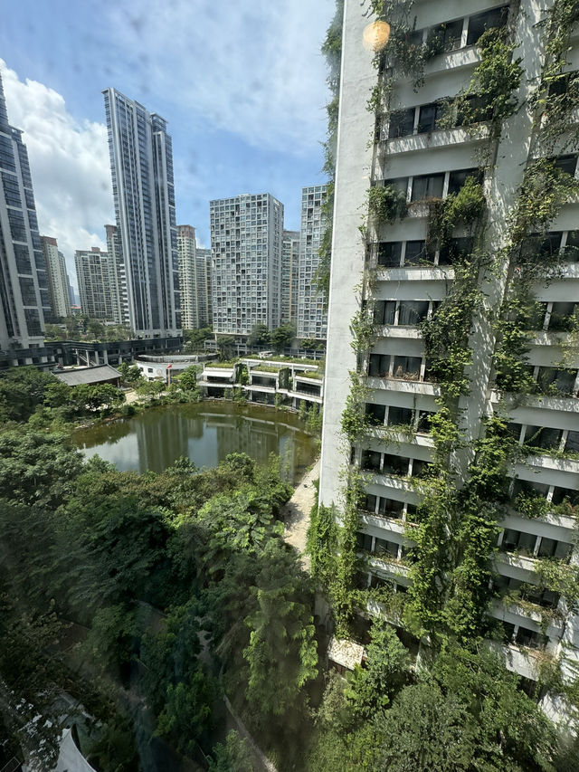 深圳「有咩梧桐」親子品茶2日1夜之旅