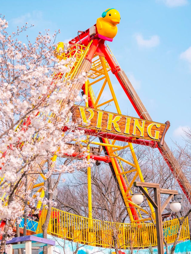 벚꽃사이를 달리는 하늘자전거가 있는 수성랜드🌸