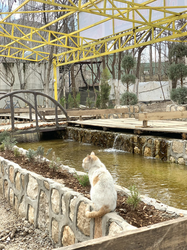 🇹🇷한국 계곡 백숙집 아니냐구요? 튀르키예입니다🤣