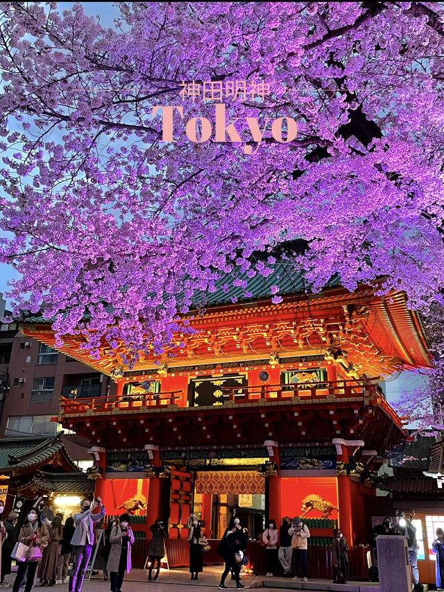 【東京×神田明神の桜】  