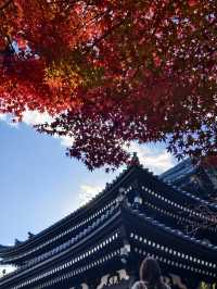 鐮倉長谷寺放滿可愛的地藏菩薩