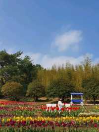 🌸 봄 나들이 추천! 제주 상효원 🌿🏡