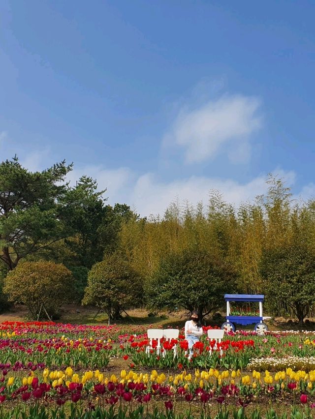 🌸 봄 나들이 추천! 제주 상효원 🌿🏡