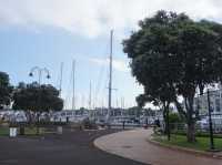 Vibrant waterfront area in Whangarei